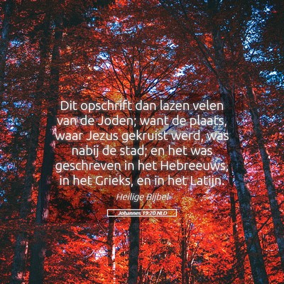 Picture 05 - Johannes 19:20 NLD - Dit opschrift dan lazen velen van de Joden; want - Bible Verse Picture