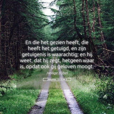 Picture 05 - Johannes 19:35 NLD - En die het gezien heeft, die heeft het getuigd, - Bible Verse Picture