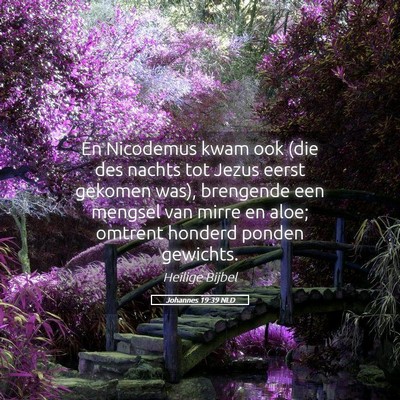 Picture 05 - Johannes 19:39 NLD - En Nicodemus kwam ook (die des nachts tot Jezus - Bible Verse Picture