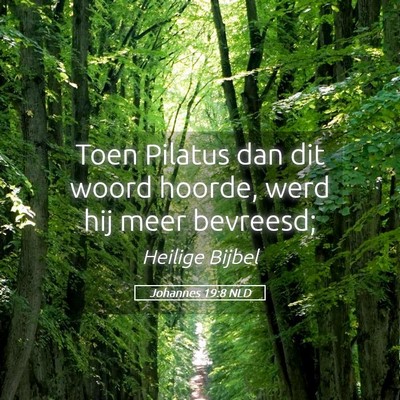 Picture 05 - Johannes 19:8 NLD - Toen Pilatus dan dit woord hoorde, werd hij meer - Bible Verse Picture