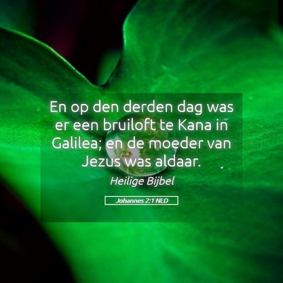 Picture 05 - Johannes 2:1 NLD - En op den derden dag was er een bruiloft te Kana - Bible Verse Picture