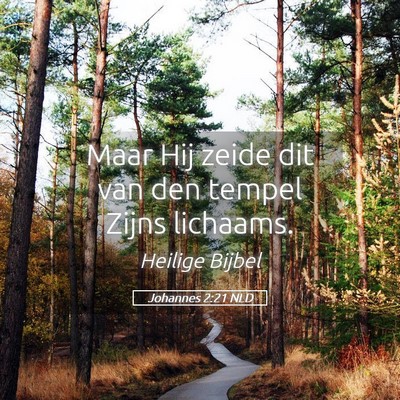 Picture 05 - Johannes 2:21 NLD - Maar Hij zeide dit van den tempel Zijns - Bible Verse Picture
