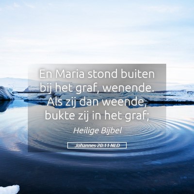 Picture 05 - Johannes 20:11 NLD - En Maria stond buiten bij het graf, wenende. Als - Bible Verse Picture