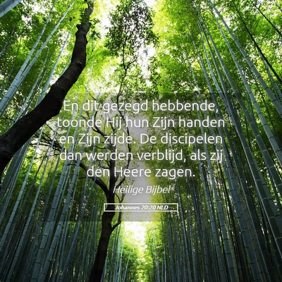Picture 05 - Johannes 20:20 NLD - En dit gezegd hebbende, toonde Hij hun Zijn - Bible Verse Picture