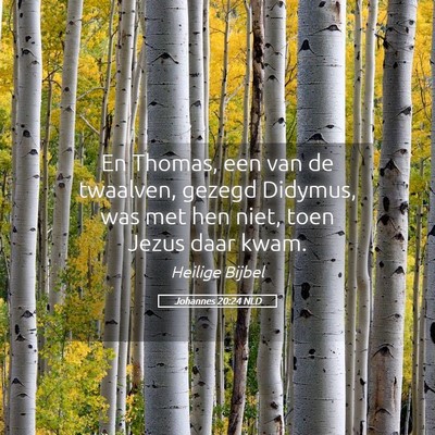 Picture 05 - Johannes 20:24 NLD - En Thomas, een van de twaalven, gezegd Didymus, - Bible Verse Picture