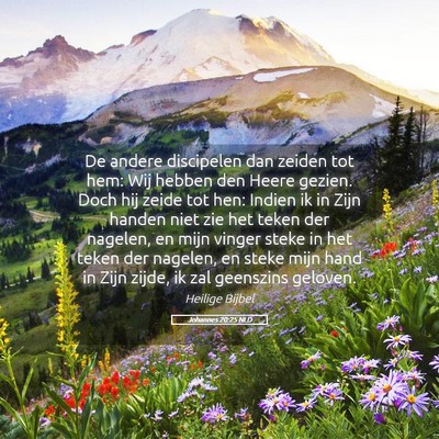 Picture 05 - Johannes 20:25 NLD - De andere discipelen dan zeiden tot hem: Wij - Bible Verse Picture