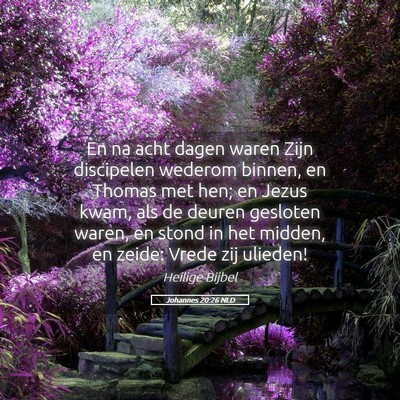 Picture 05 - Johannes 20:26 NLD - En na acht dagen waren Zijn discipelen wederom - Bible Verse Picture