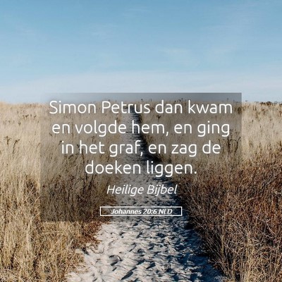 Picture 05 - Johannes 20:6 NLD - Simon Petrus dan kwam en volgde hem, en ging in - Bible Verse Picture