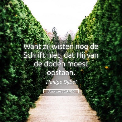 Picture 05 - Johannes 20:9 NLD - Want zij wisten nog de Schrift niet, dat Hij van - Bible Verse Picture