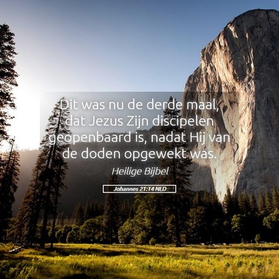 Picture 05 - Johannes 21:14 NLD - Dit was nu de derde maal, dat Jezus Zijn - Bible Verse Picture