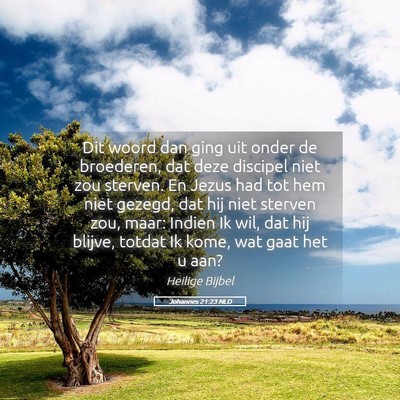 Picture 05 - Johannes 21:23 NLD - Dit woord dan ging uit onder de broederen, dat - Bible Verse Picture
