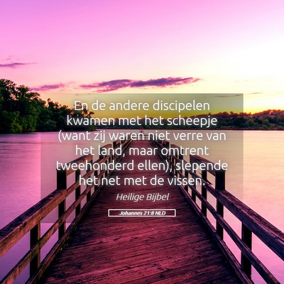 Picture 05 - Johannes 21:8 NLD - En de andere discipelen kwamen met het scheepje - Bible Verse Picture