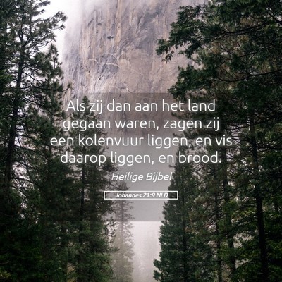 Picture 05 - Johannes 21:9 NLD - Als zij dan aan het land gegaan waren, zagen zij - Bible Verse Picture