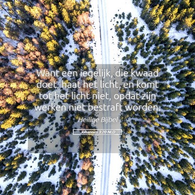 Picture 05 - Johannes 3:20 NLD - Want een iegelijk, die kwaad doet, haat het - Bible Verse Picture