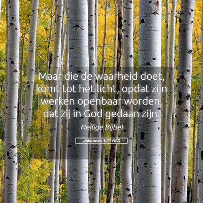 Picture 05 - Johannes 3:21 NLD - Maar die de waarheid doet, komt tot het licht, - Bible Verse Picture