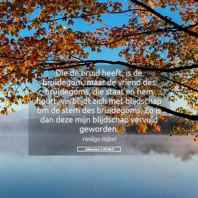 Picture 05 - Johannes 3:29 NLD - Die de bruid heeft, is de bruidegom, maar de - Bible Verse Picture