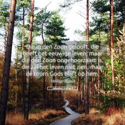 Picture 05 - Johannes 3:36 NLD - Die in den Zoon gelooft, die heeft het eeuwige - Bible Verse Picture