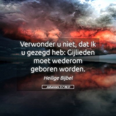 Picture 05 - Johannes 3:7 NLD - Verwonder u niet, dat Ik u gezegd heb: Gijlieden - Bible Verse Picture