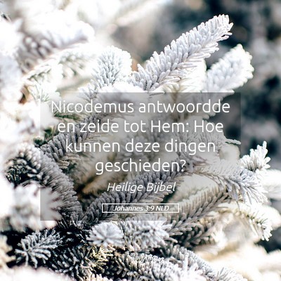 Picture 05 - Johannes 3:9 NLD - Nicodemus antwoordde en zeide tot Hem: Hoe kunnen - Bible Verse Picture