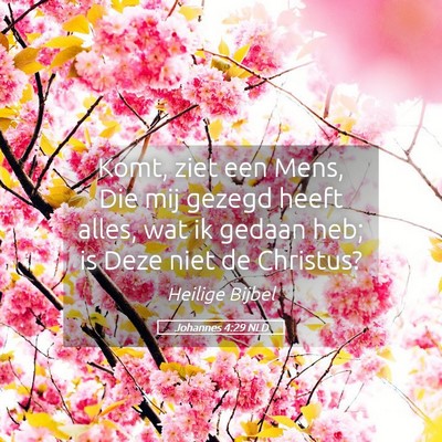 Picture 05 - Johannes 4:29 NLD - Komt, ziet een Mens, Die mij gezegd heeft alles, - Bible Verse Picture