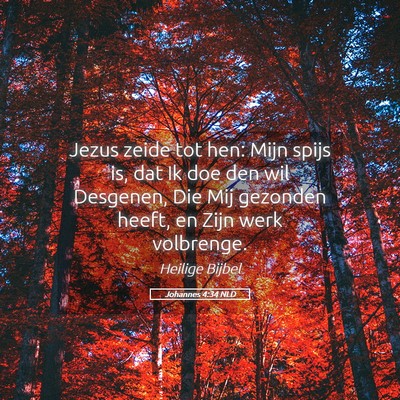 Picture 05 - Johannes 4:34 NLD - Jezus zeide tot hen: Mijn spijs is, dat Ik doe - Bible Verse Picture
