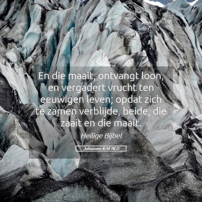 Picture 05 - Johannes 4:36 NLD - En die maait, ontvangt loon, en vergadert vrucht - Bible Verse Picture