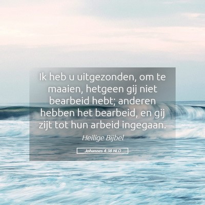 Picture 05 - Johannes 4:38 NLD - Ik heb u uitgezonden, om te maaien, hetgeen gij - Bible Verse Picture