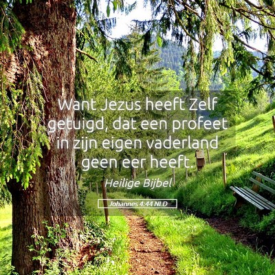 Picture 05 - Johannes 4:44 NLD - Want Jezus heeft Zelf getuigd, dat een profeet in - Bible Verse Picture