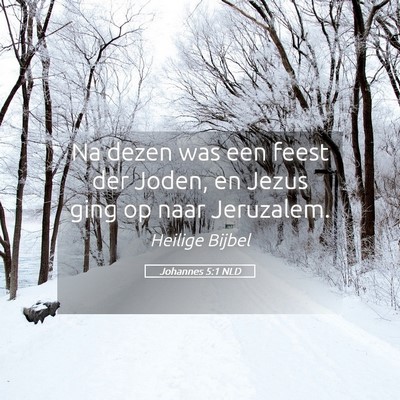 Picture 05 - Johannes 5:1 NLD - Na dezen was een feest der Joden, en Jezus ging - Bible Verse Picture