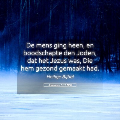 Picture 05 - Johannes 5:15 NLD - De mens ging heen, en boodschapte den Joden, dat - Bible Verse Picture