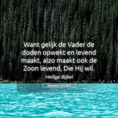 Picture 05 - Johannes 5:21 NLD - Want gelijk de Vader de doden opwekt en levend - Bible Verse Picture