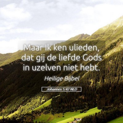Picture 05 - Johannes 5:42 NLD - Maar Ik ken ulieden, dat gij de liefde Gods in - Bible Verse Picture