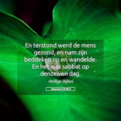 Picture 05 - Johannes 5:9 NLD - En terstond werd de mens gezond, en nam zijn - Bible Verse Picture