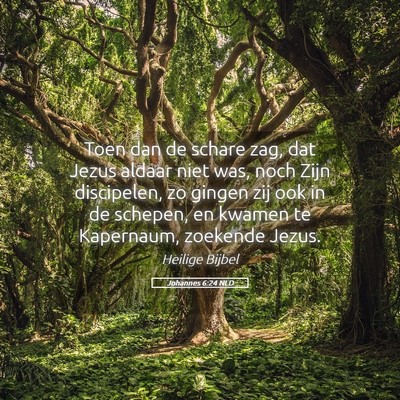 Picture 05 - Johannes 6:24 NLD - Toen dan de schare zag, dat Jezus aldaar niet - Bible Verse Picture