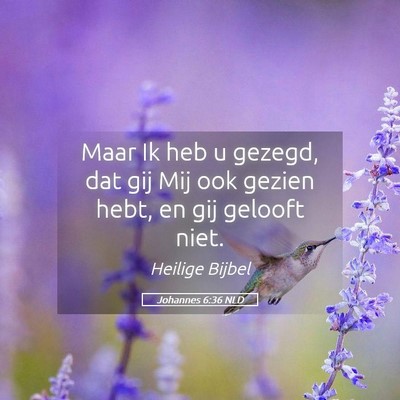 Picture 05 - Johannes 6:36 NLD - Maar Ik heb u gezegd, dat gij Mij ook gezien - Bible Verse Picture