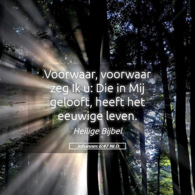 Picture 05 - Johannes 6:47 NLD - Voorwaar, voorwaar zeg Ik u: Die in Mij gelooft, - Bible Verse Picture