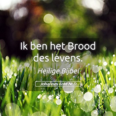 Picture 05 - Johannes 6:48 NLD - Ik ben het Brood des - Bible Verse Picture
