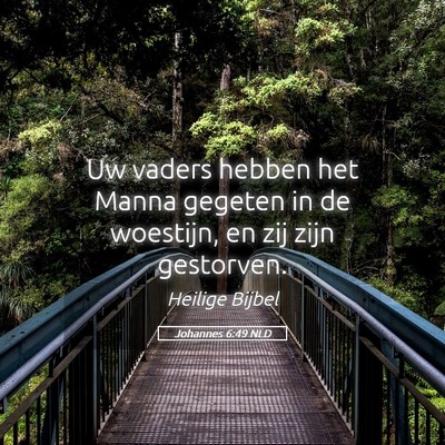 Picture 05 - Johannes 6:49 NLD - Uw vaders hebben het Manna gegeten in de - Bible Verse Picture