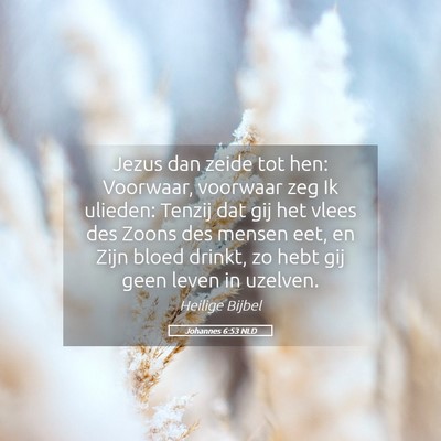 Picture 05 - Johannes 6:53 NLD - Jezus dan zeide tot hen: Voorwaar, voorwaar zeg - Bible Verse Picture