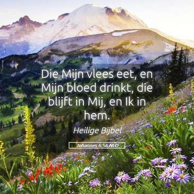 Picture 05 - Johannes 6:56 NLD - Die Mijn vlees eet, en Mijn bloed drinkt, die - Bible Verse Picture