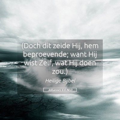 Picture 05 - Johannes 6:6 NLD - (Doch dit zeide Hij, hem beproevende; want Hij - Bible Verse Picture