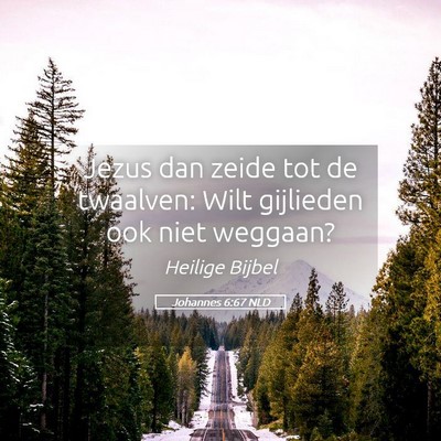 Picture 05 - Johannes 6:67 NLD - Jezus dan zeide tot de twaalven: Wilt gijlieden - Bible Verse Picture