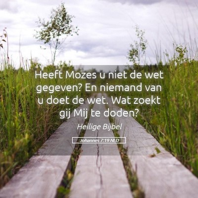Picture 05 - Johannes 7:19 NLD - Heeft Mozes u niet de wet gegeven? En niemand van - Bible Verse Picture