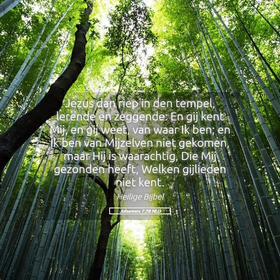 Picture 05 - Johannes 7:28 NLD - Jezus dan riep in den tempel, lerende en - Bible Verse Picture