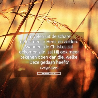 Picture 05 - Johannes 7:31 NLD - En velen uit de schare geloofden in Hem, en - Bible Verse Picture