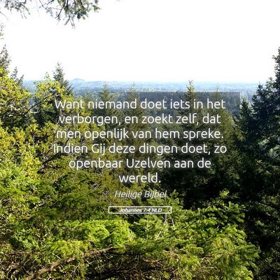 Picture 05 - Johannes 7:4 NLD - Want niemand doet iets in het verborgen, en zoekt - Bible Verse Picture