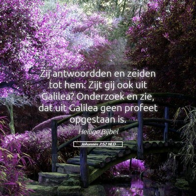 Picture 05 - Johannes 7:52 NLD - Zij antwoordden en zeiden tot hem: Zijt gij ook - Bible Verse Picture
