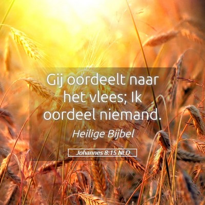 Picture 05 - Johannes 8:15 NLD - Gij oordeelt naar het vlees; Ik oordeel - Bible Verse Picture