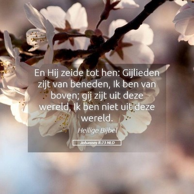 Picture 05 - Johannes 8:23 NLD - En Hij zeide tot hen: Gijlieden zijt van beneden, - Bible Verse Picture