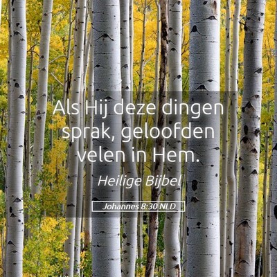 Picture 05 - Johannes 8:30 NLD - Als Hij deze dingen sprak, geloofden velen in - Bible Verse Picture